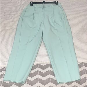 Express Mint Ankle Pants Size 12S